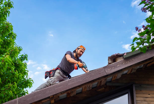 Best Roof Moss and Algae Removal  in North Mankato, MN